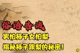 国学处世：男怕柿子女怕梨，揭秘柿子跟梨的秘密！视频封面