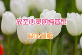 唯美轻音乐--古今多少苍茫事，前车历历未能忘。——《毛主席》视频封面