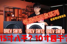 高质量低价格低音炮？4000元小炮SW10和8000元SW15大炮如何决择！视频封面