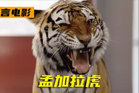 国外老人在家里养了一只孟加拉虎，结果在投喂时遭到了无情地攻击视频封面