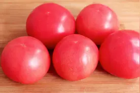 没胃口怎么办，教你番茄馅饺子，开胃解馋，鲜香味美，全家都爱吃视频封面