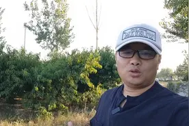杜康醉刘伶，一醉三年整，这个典故原来发生在山西运城！视频封面