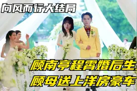 向风而行：顾南亭程霄婚后生娃，顾母送上洋房豪车，倪湛抢着当爹视频封面