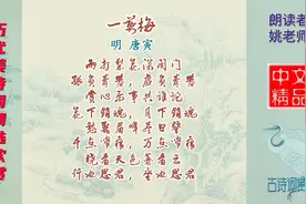 一剪梅·雨打梨花深闭门 明代 唐寅 以女子口吻所作的一首闺怨词视频封面