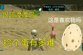 方舟生存进化手游，渡渡鸟蛋如何获取，跟踪了一天也不见蛋的影子