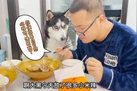 狗狗非得吃主人的麻辣鱼，没想到一口下去直接辣得翻白眼，笑死了视频封面