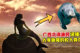 广西北海渔民误捕“鲛人”，人身鱼尾吓坏船员，鲛人真的存在吗？视频封面