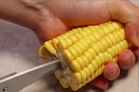 剥玉米原来这么简单，一把剪刀就搞定，1秒1个，方法太实用了视频封面