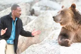 四川方言：当狗子也能说四川话，这种交流笑得停不下来