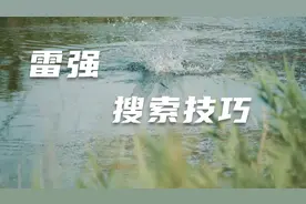 如何让黑鱼顺利咬蛙？水草边缘搜索，会有惊喜！