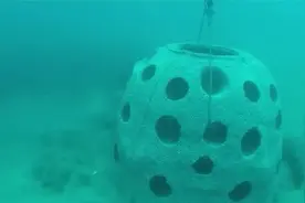 美国海军航母上海葬把棺材推海里，美其名为海底生物提供栖息地？视频封面