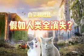 假如人类一瞬间全消失！地球会变成什么样呢？视频封面