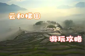 中国云和梯田在哪里？有什么样的风景？怎么走？这份攻略请收好视频封面