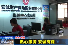 贴心服务 安诚有保视频封面
