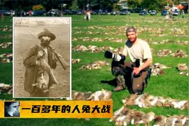 英国的24只兔子，让澳大利亚疯狂100多年，为何消灭兔子如此之难视频封面