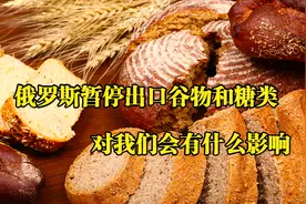 人类可能会有粮食危机？俄罗斯暂停出口谷物和糖类，会有什么影响视频封面