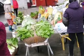 病魔无情但人间有爱！湖北村民为隔离小区居民送去两千斤蔬菜视频封面