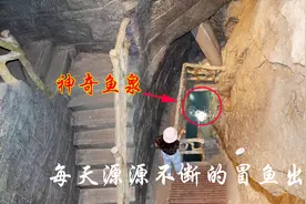 重庆一老人梦见自家房子下面有宝藏，后挖出一股鱼泉，从此暴富视频封面