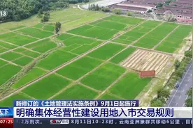 《土地管理法实施条例》9月1日施行 集体经营性建设用地入市交易视频封面