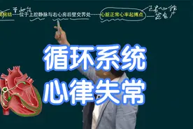 【心律失常-窦房结】✅东帆老师带你轻松掌握心电图基础！视频封面
