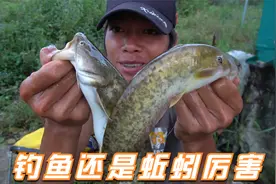 下大暴雨过后就是好钓鱼，蚯蚓不仅能钓鲶鱼，连草鱼都吃！视频封面