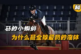 一升卖出1200万美元天价，马的精液，为什么会成为奢侈品？视频封面