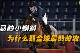 一升卖出1200万美元天价，马的精液，为什么会成为奢侈品？视频封面