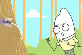 为什么蝉受到惊吓会撒尿？视频封面