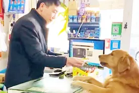 金毛“轮胎”不小心喝了洗洁精，结果放屁都冒泡，这可咋整呀视频封面