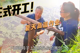 为了给二嫂搭建舞台，二哥顶着高温承接工程，两夫妻简直太搞笑了视频封面