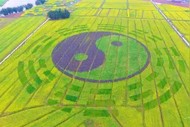 重庆：万亩油菜花基地，门票竟然收50，到底值不值得看？