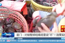 螃蟹绑粗绳增重？厦门各地大力禁止，可用这种绳子替代！视频封面