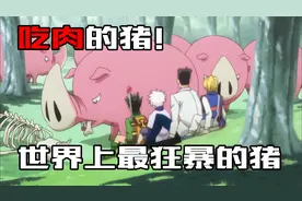 这是世界上最狂暴的猪，不仅吃肉还啃骨头！弱点却十分脆弱