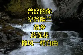 许巍音乐风云榜内地最佳男歌手中国十年最具影响力音乐人物视频封面