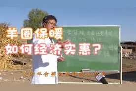 冬季羊舍保暖有讲究视频封面