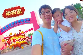 一家三口逛动物园，宝宝口出狂言要给老虎喂胡萝卜，善良又可爱