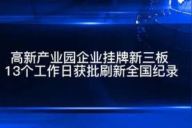 高新产业园企业挂牌新三板 13个工作日获批刷新全国纪录视频封面
