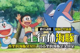 海豚原来是两栖动物，有人发现了土里生活的海豚视频封面