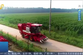 牛！潍柴雷沃无人驾驶收割机超“硬核”，农民轻触手机就能干农活视频封面