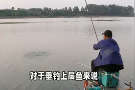 野河垂钓翘嘴鱼，你就像我这样做，吃口猛漂相重，钓鱼又快又多视频封面