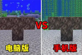 我的世界：手机版与电脑版有哪些不同？老玩家也不知道的三大区别视频封面