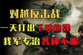 对越反击战珍贵原声影像，我军一天打出3400吨炮弹，彻底打服越南视频封面