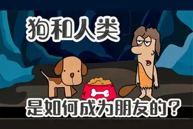 狗的起源：狗是怎么成为人类的朋友的？