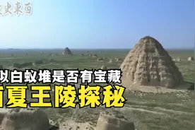 贺兰山东麓有一处神秘遗址，遍布各种陵台，探秘千年西夏王陵视频封面