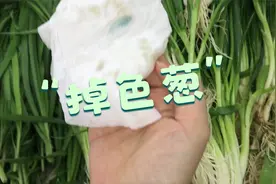 杭州惊现“掉色葱”？记者调查！检测结果出来了…