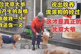 北京大爷说收养流浪狗的过程，尽显爱心，一席话让人感动和敬佩视频封面