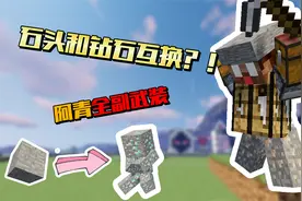 假如石头和钻石互换 阿青与钻石矿的激烈碰撞！