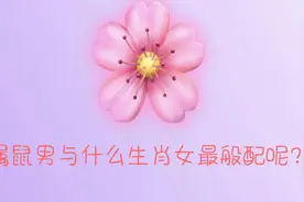 属鼠男与什么生肖女最般配呢？视频封面
