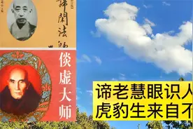 倓.虚老和尚故事第9集，谛老慧眼识人才，虎豹生来自不群视频封面