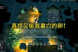 地下蚁国：养殖箱 被蚂蚁一直抢卵！！